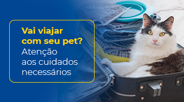 Vai viajar com seu pet? Atenção aos cuidados necessários